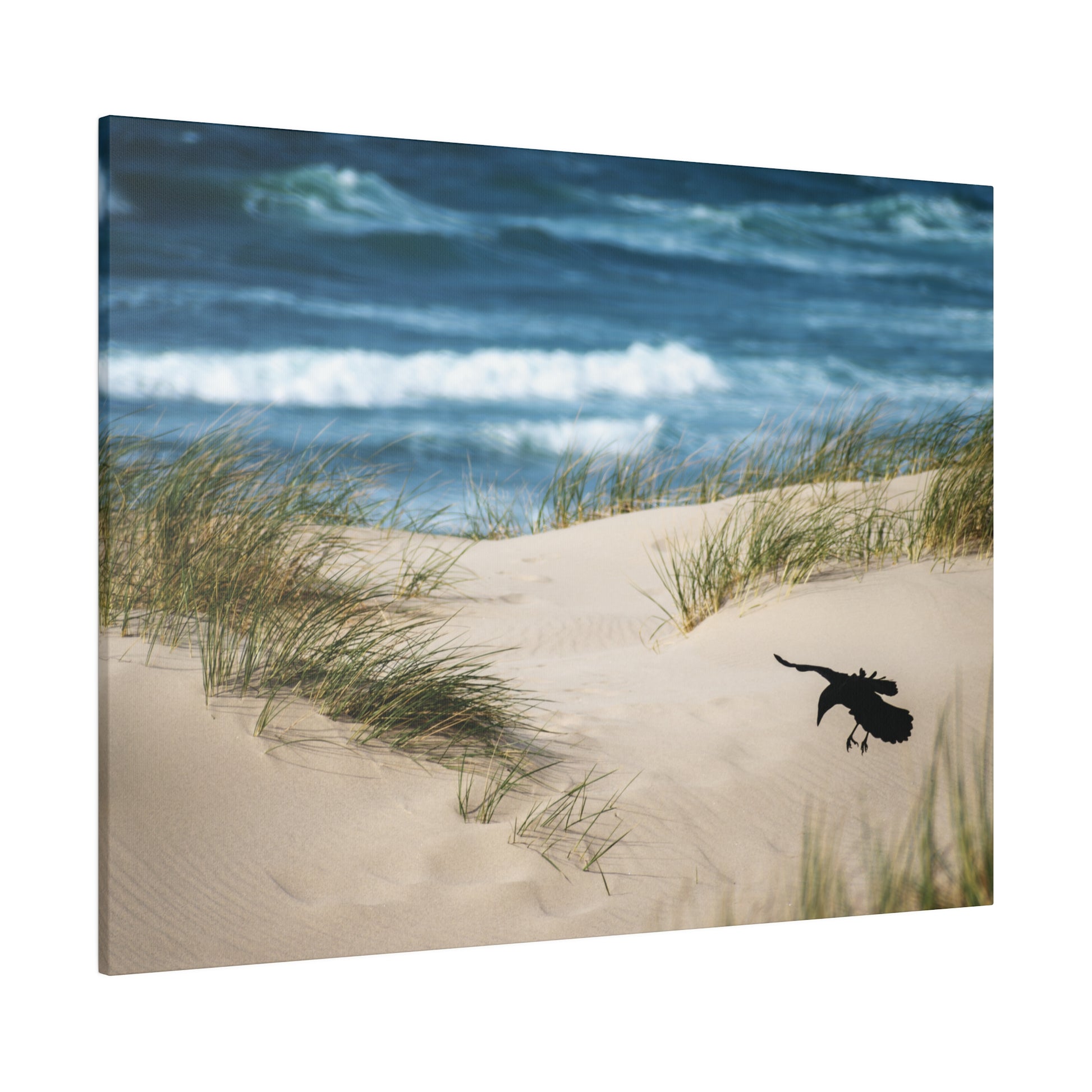 Raven Landing Canvas Wall Art Side View